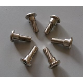 Schrauben für Bremsscheiben M8x22; 6er-Pack