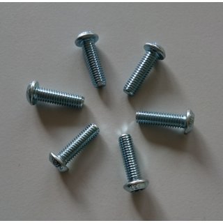 Schrauben für Bremsscheiben M6x20; 6er-Pack