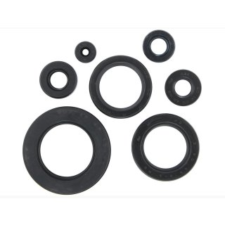 Motorsimmerring-Satz HON CB650