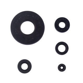 Motorsimmerring-Satz HON VT500 C/E