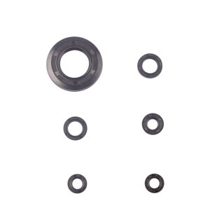 Motorsimmerring-Satz HON XL250S
