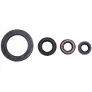 Motorsimmerring-Satz YAM XV535