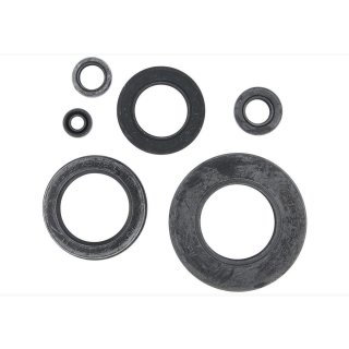 Motorsimmerring-Satz SUZ GT/T 500