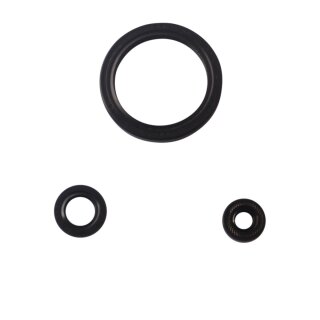 Motorsimmerring-Satz KAW GPZ900R