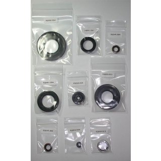 Motorsimmerring-Satz KAW H2-750 Mach IV
