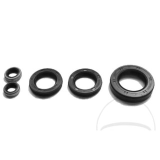 Motorsimmerring-Satz KAW ZR/GPZ750/Zephyr