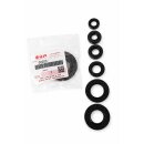 Motorsimmerring-Satz SUZ GT/TS80