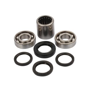 Schwingenlager HON CB125R, VT750C