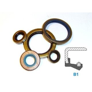 Wellendichtring 22x30x7 B1