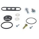Benzinhahn-Rep-Satz XT250 08-12
