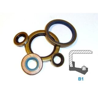 Wellendichtring 25x40x5 B1