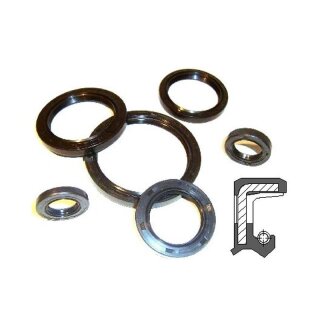 Wellendichtring 20x28x6 BABSL FKM;  bis 10 Bar