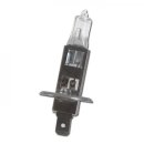 Glühlampe 12V 55W H1,  P14.5S