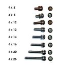 Vergaser-Schraube M 4x10