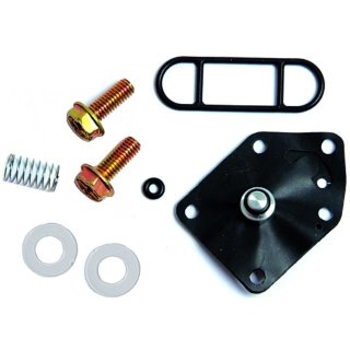 Benzinhahn-Rep-Satz KAW ZZR600, GPX750R