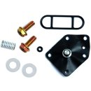 Benzinhahn-Rep-Satz KAW ZZR600, GPX750R