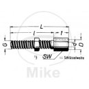 Stellschraube M 5 x 34